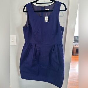 NWT 💙 J. Crew Crew Blue Dress